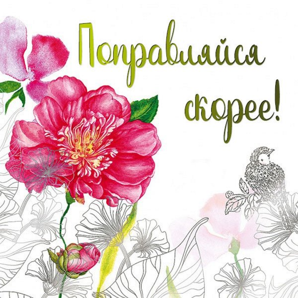 Выздоравливай картинки