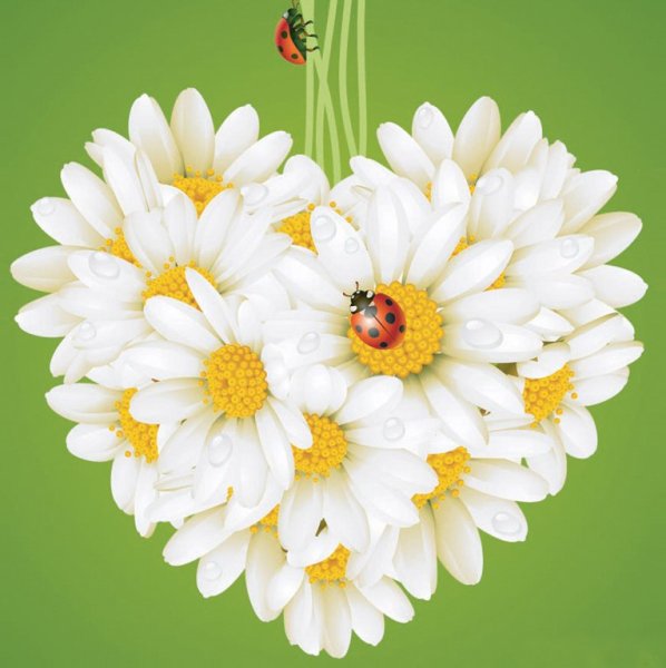 Букет выздоравливай