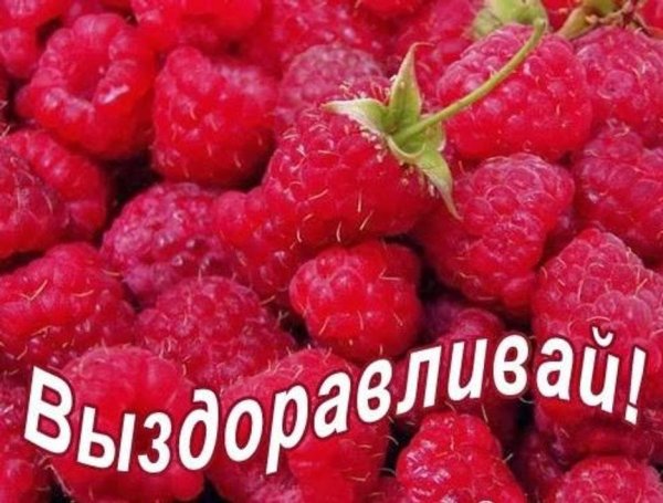 Пожелания выздоровления