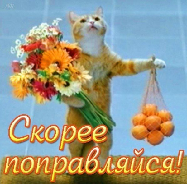 Выздоравливай Настенька