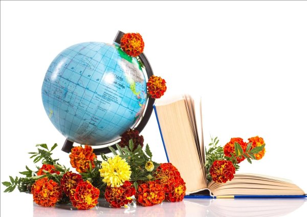 Первоклассник с цветами