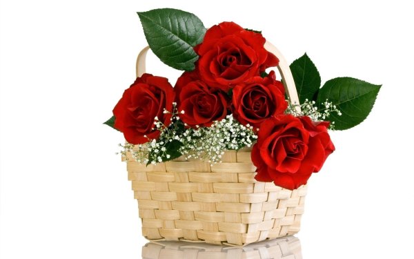 Цветы в корзине на белом фоне