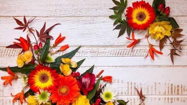 Фотосессия первоклассника