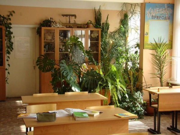 Мальчик дарит цветы маме