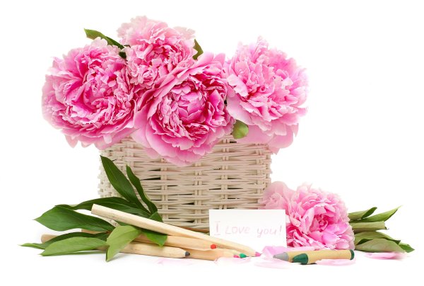 Шикарный букет цветов