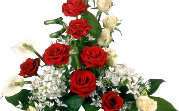 Шикарный букет цветов