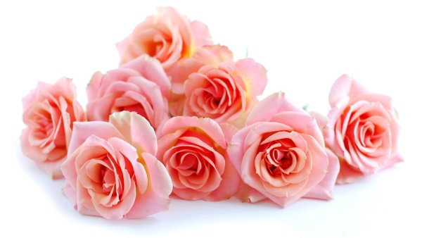 Букеты картинки