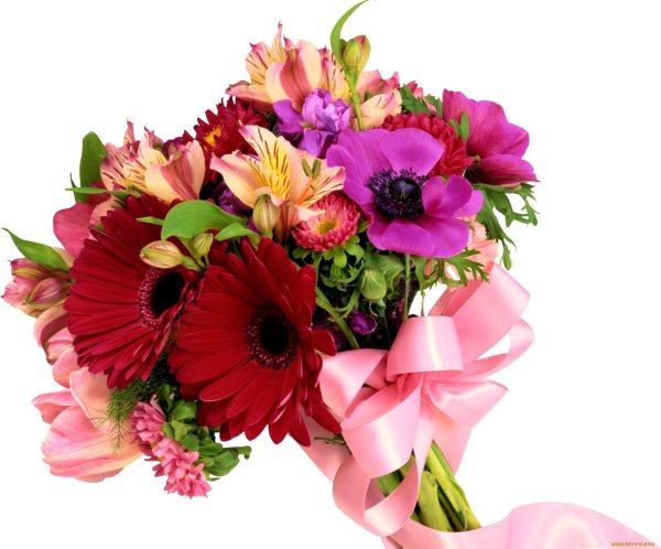 Букет цветов без фона