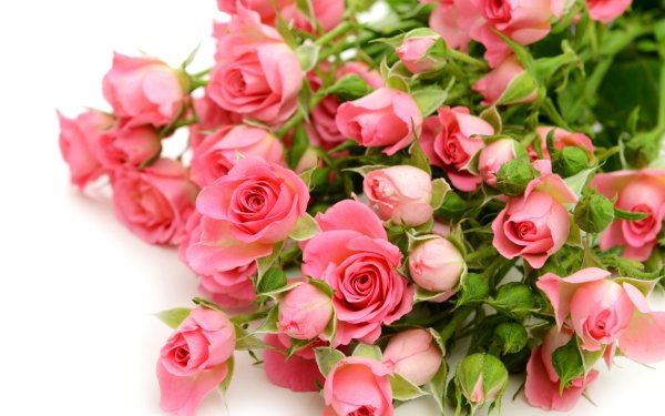 Подарки и цветы на прозрачном фоне