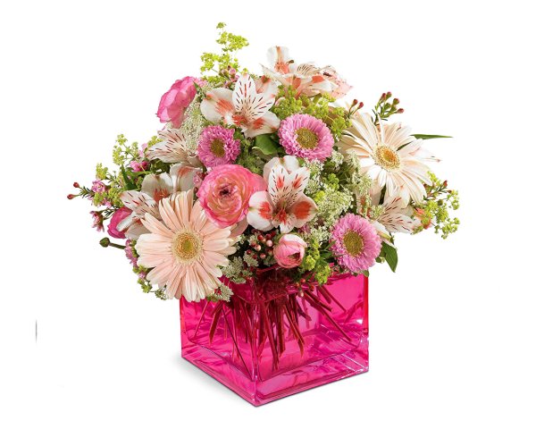 Розы розовые свежие красивые