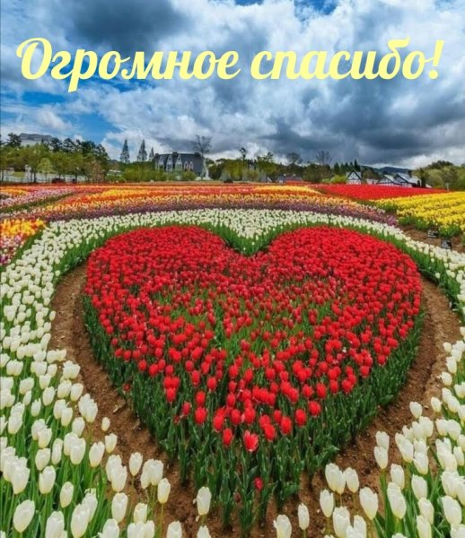 Цветочный сад