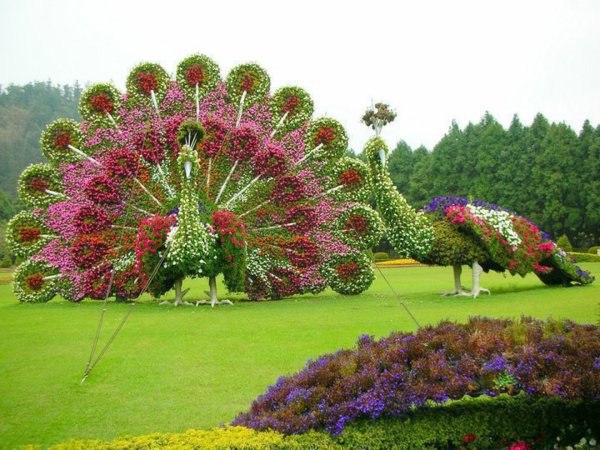 Парк цветов Dubai Miracle Garden
