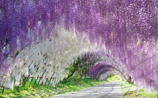 Цветочная река