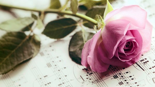 Открытки с нотами и цветами