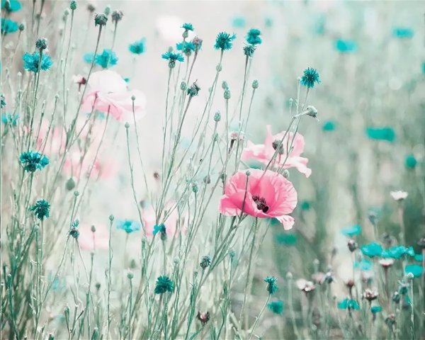 Бирюзовая природа