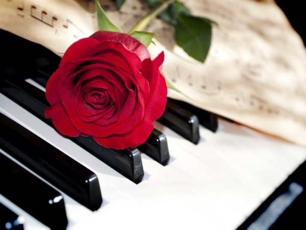 Ноты и цветы