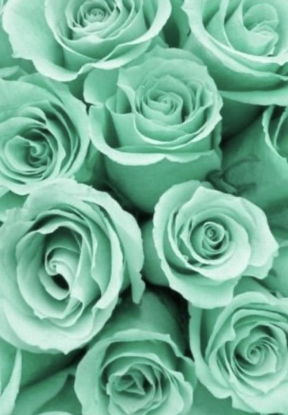 Ментоловые цветы