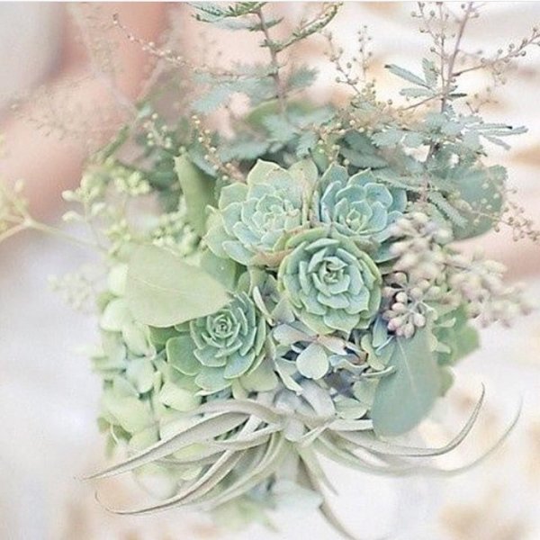 Мятный букет