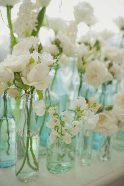 Цветы в бирюзовых тонах