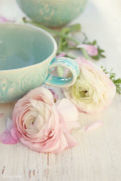 Утро в пастельных тонах