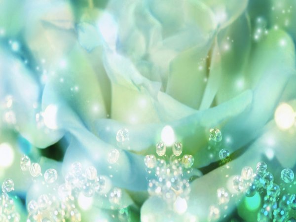 Свадебный фон для фотошопа