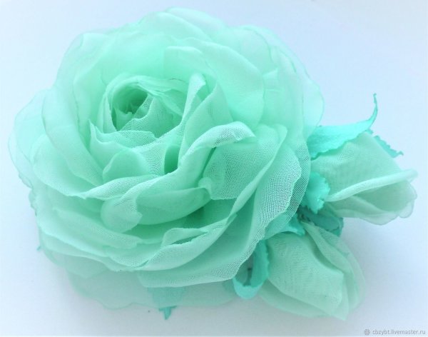 Минт Грин цвет