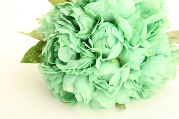 Фантола синяя малина