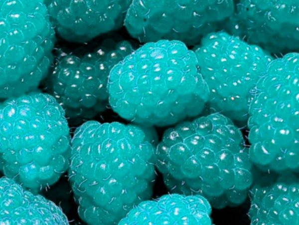 Бирюзовый цвет