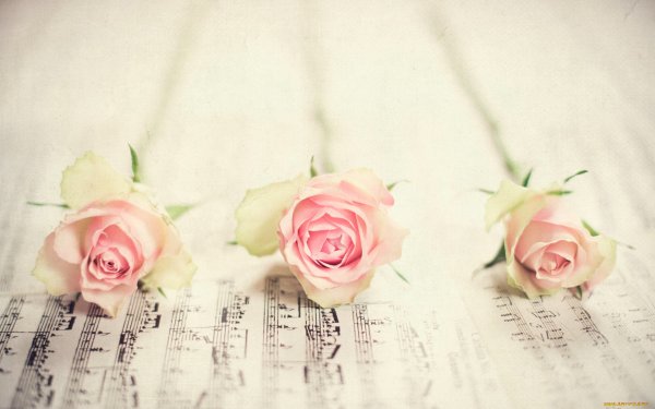 Рояль цветы