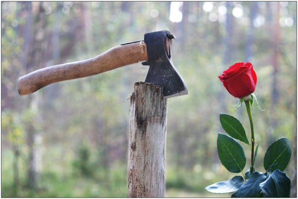 Смешной топор