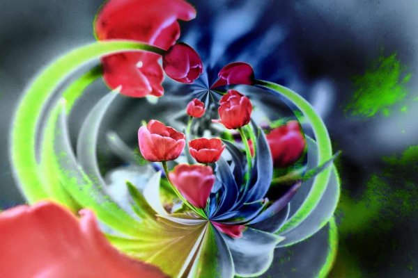 Танец цветов