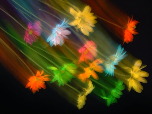 Танец цветов