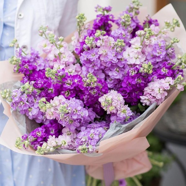 Матиола махровая Букетная