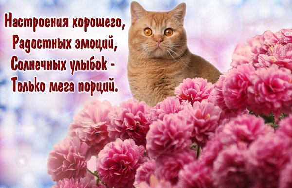 Букет "хорошее настроение"