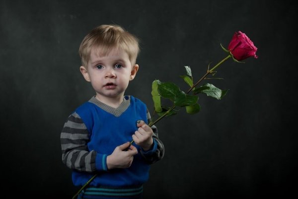 Ромашка для детей