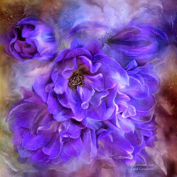 Кэрол Каваларис цветы