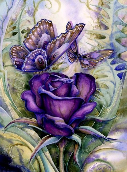 Художник Jody Bergsma