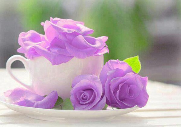 Доброе утро в сиреневых тонах