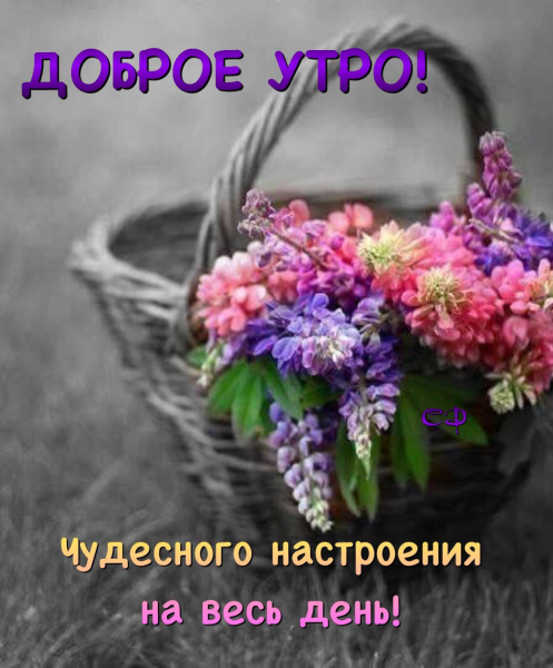 Чудесное настроение