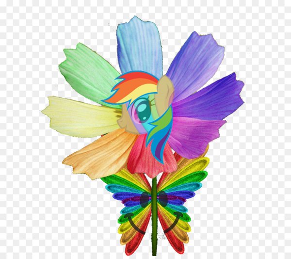 Цветок Радужный лёгкий