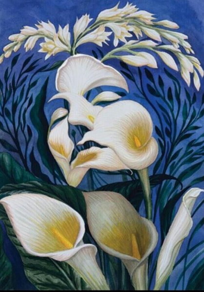 «Оптические иллюзии» (Автор Джейкобс ПЭТ)