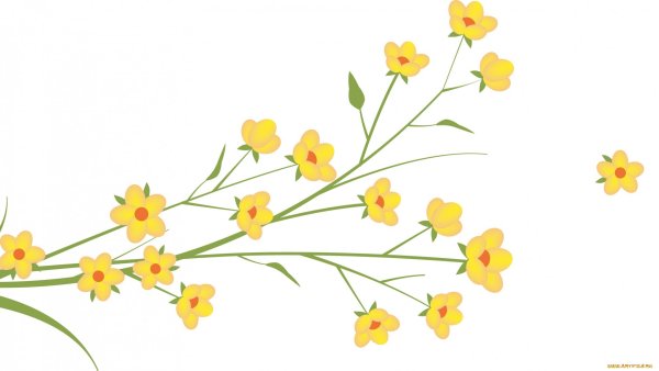 Мелкие цветочки на прозрачном фоне