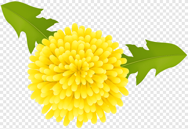 Одуванчик мультяшный