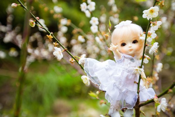 Куклы с цветами