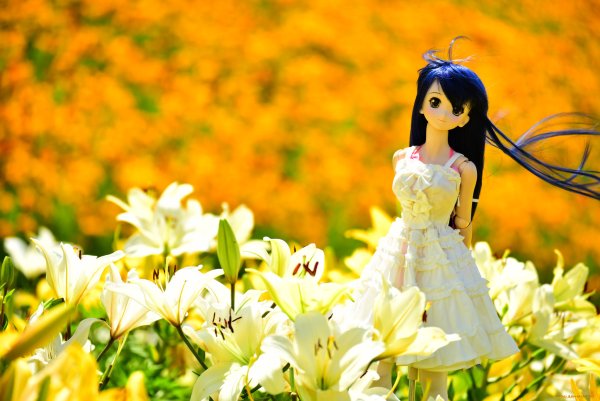 Красивые цветы и кукла