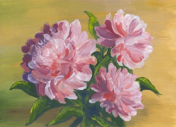 Пионы гуашью