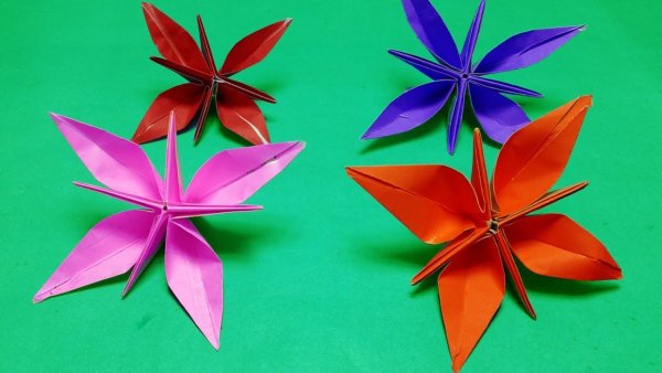 Санбук Смит цветы оригами