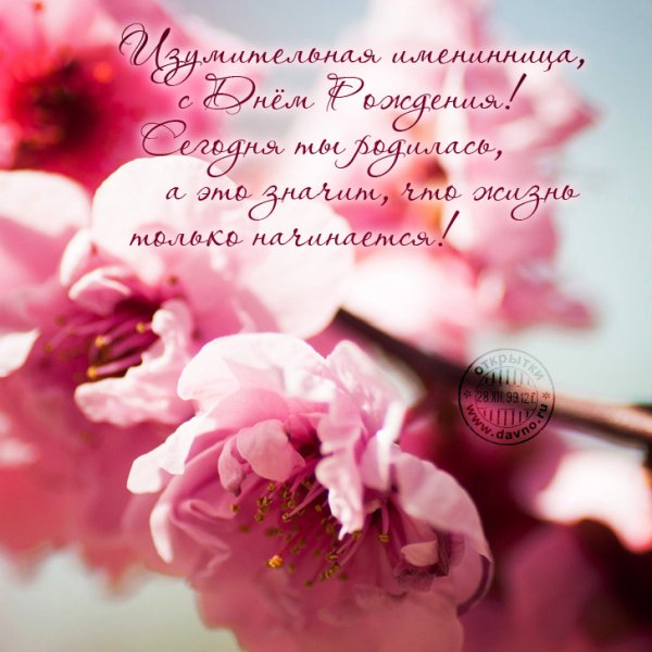 С днём рождения нежные открытки