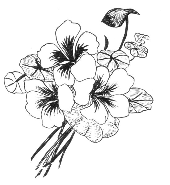 Рисовать цветы