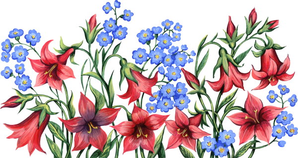 Прикольные картинки цветов нарисованные